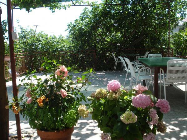 Appartamento Pavlinovic Jure Makarska Esterno foto